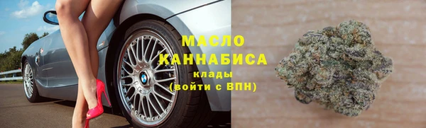 мдпв Ладушкин