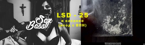 индика Кулебаки
