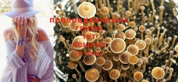 мдпв Ладушкин