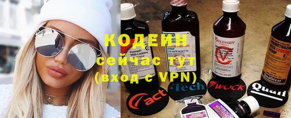 мдпв Ладушкин