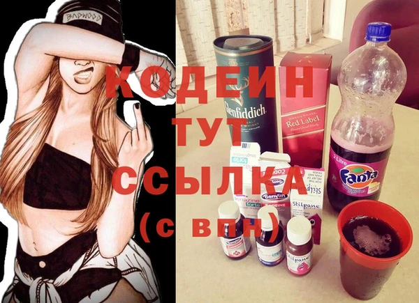 мдпв Ладушкин